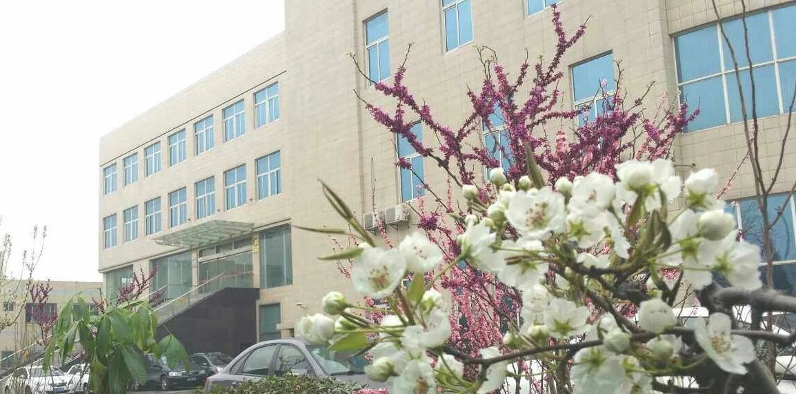 銀馬免燒磚機(jī)